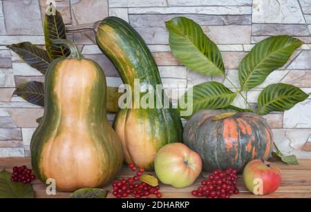 Vita morta in autunno: Zucche, mele, bacche di viburnum Foto Stock