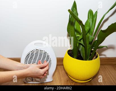 La ragazza tiene le mani vicino a un riscaldatore di plastica del ventilatore e le riscalda le mani, regolando la temperatura a casa, il flusso di calore alle sue mani Foto Stock