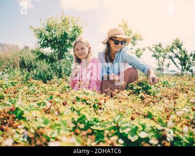 Donna sorridente e figlia seduta tra piante in fattoria contro cielo in giornata di sole Foto Stock