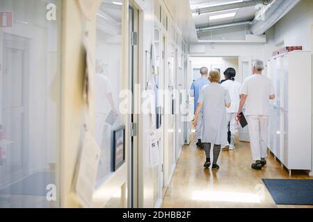 Vista posteriore di medici e infermieri che camminano nel corridoio a. ospedale Foto Stock