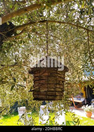 wooden birdhouse on a tree in the garden. Foto Stock