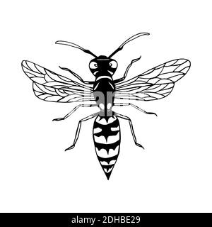 Pagina di colorazione insetti stile cartoon WASP, isolata su bianco. Illustrazione Vettoriale