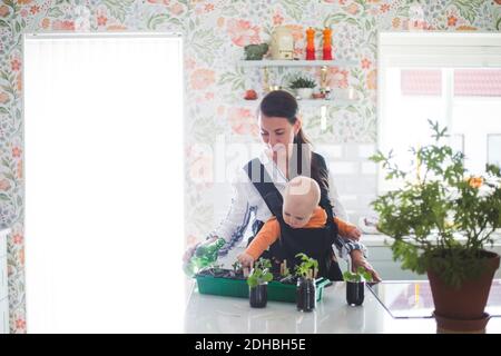 Lavoro di giardinaggio di madre e figlia in cucina a casa Foto Stock