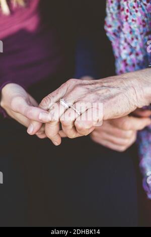Immagine ritagliata di nonna e nipote che tengono le mani Foto Stock