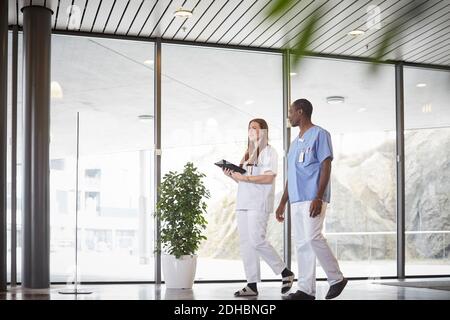 Tutta la lunghezza dell'infermiera maschile e femminile che discute mentre cammina in corridoio all'ospedale Foto Stock