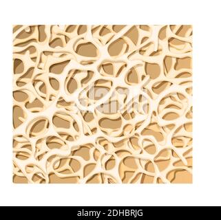 Struttura ossea. Osteoporosi. Background medico. Illustrazione vettoriale Illustrazione Vettoriale