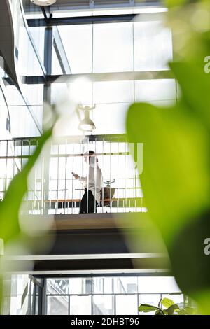 Vista ad angolo basso di una donna d'affari che lavora in un ufficio moderno Foto Stock
