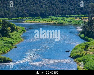 Vola con i pescatori sul fiume Green, sotto la diga di Flaming Gorge, nell'area ricreativa nazionale di Flaming Gorge, vicino a Dutch John, Utah. Foto Stock