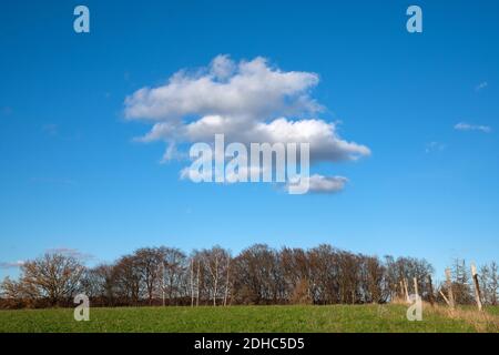 Paesaggio con il bel tempo cielo e nuvole bianche Foto Stock