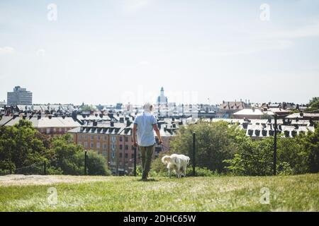 Lunghezza intera dell'uomo che cammina con il cane sul campo dentro città contro il cielo Foto Stock