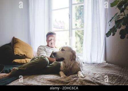 Cane che riposa sul letto mentre l'uomo anziano legge libro contro finestra a casa Foto Stock