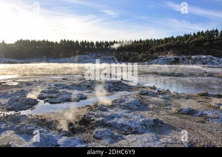 La cottura a vapore piscine di fango, Hell's Gate e WaiOra Spa, Rotorua, Baia di Planty Regione, Isola del nord, Nuova Zelanda Foto Stock