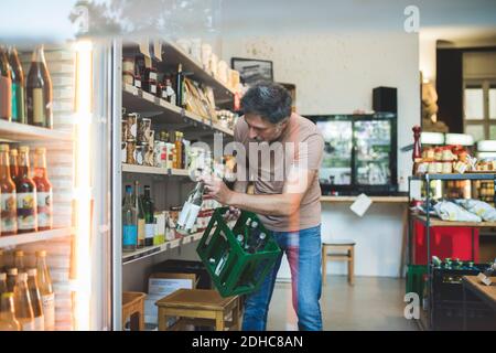 Dipendente maschile che organizza una bottiglia sullo scaffale in deli Foto Stock