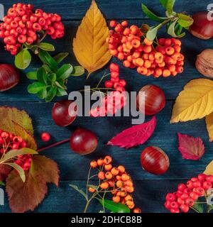 Composizione autunnale quadrata con foglie e castagne, colpo d'alto Foto Stock