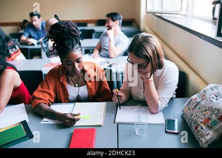 Vista ad alto angolo di donne multietniche che leggono note in lingua scuola Foto Stock