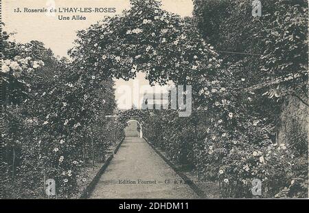 L'Haÿ-les-Roses-FR-94-vers 1925-la Roseraie-03. Foto Stock