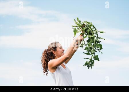 Un ritratto di una giovane agricoltore che lavora nel fattoria Foto Stock