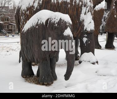 Statua di un bambino gnoso Mammoth coperto di neve in parco vicino al Museo della natura di Ottawa Foto Stock