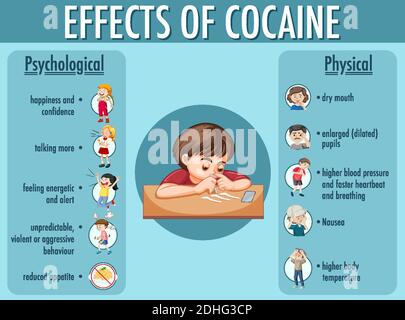 Effetti delle informazioni sulla cocaina illustrazione infografica Illustrazione Vettoriale