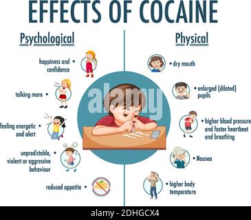 Effetti delle informazioni sulla cocaina illustrazione infografica Illustrazione Vettoriale