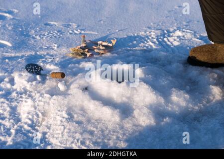 Il perch e il cucchiaio per lo scooping del ghiaccio si trovano vicino al foro per la cattura del pesce, sulla superficie di un lago innevato. Foto Stock