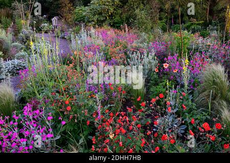 Geum Rubin, Geum Totally Tangerine, Geum Scarlet Tempest, Lychnis Hill Grounds, Lunaria annua Chedglow seedpods, dahlua, verbascum, schema di impianto misto, co Foto Stock