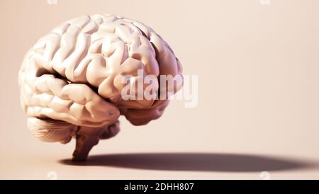 Cervello umano su sfondo di colore morbido. Spazio di copia a destra. Illustrazione 3D. Foto Stock