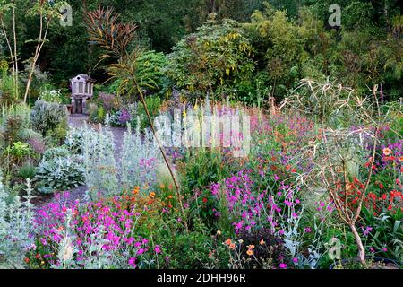 Geum Rubin, Geum Totally Tangerine, Geum Scarlet Tempest, Lychnis Hill Grounds, Lunaria annua Chedglow seedpods, dahlia, verbascum, schema di impianto misto, co Foto Stock