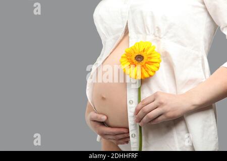 Una donna incinta in una camicia bianca tiene un fiore di gerbera giallo su uno sfondo grigio isolato. Colori del 2021 anni giallo e grigio Foto Stock