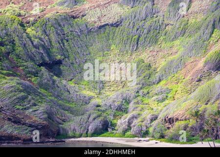 Cratere vulcanico profondo nella Baia di Hanauma, Oahu, Hawaii Foto Stock