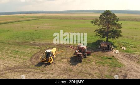 Vista aerea dal drone di due mietitrebbia e trebbiatrici agricole, si trovano su un ampio campo marrone tra l'albero verde solitario e la strada a terra in estate soleggiata Foto Stock