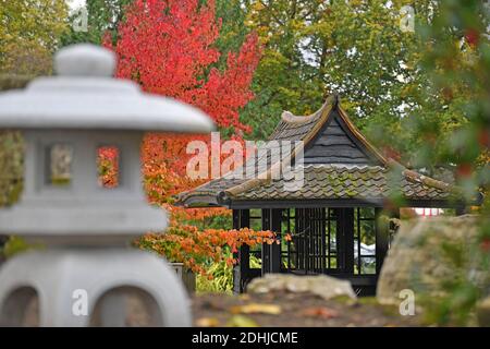 Caratteristica su Stoke Park, Guildford - Autumnal colori, come il lavoro continua a ripristinare e migliorare i giardini orientali. Guildford, Surrey. Foto scattata il 20 ottobre 2020 Foto Stock