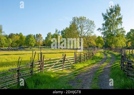 Un piccolo percorso tortuoso per il bestiame e recinzioni in un paesaggio culturale, Östergötland, Svezia Foto Stock
