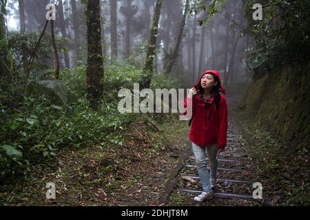 Corpo completo di donna asiatica in scala di arrampicata impermeabile e. esplorando la natura mentre camminando attraverso la foresta verde in giorno piovoso Foto Stock