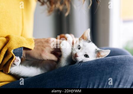 Ragazza con piercing facendo facce buffe in arrossamento su sfondo blu Foto Stock