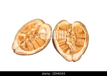 Cibo esotico del brasile, la castagna monguba, nome scientifico Pachira aquatica Aubl, conosciuto anche come castagno Maranhão e cacao selvatico. È un albero di Th Foto Stock