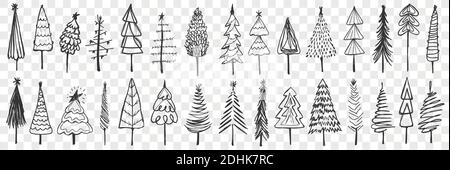 Conifere alberi doodle insieme. Raccolta di alberi di conifere disegnati a mano con corone e tronchi tradizionali per la decorazione di Natale isolati su sfondo trasparente. Immagine del simbolo del nuovo anno Illustrazione Vettoriale