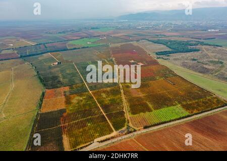 Foto aeree per la valle di bekaa in Libano in autunno Foto Stock