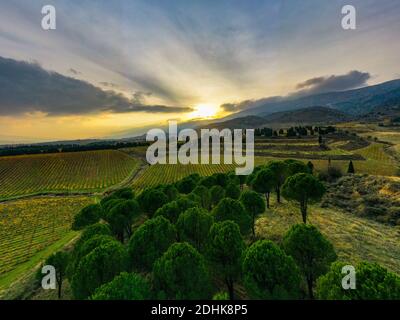 Foto aeree per la valle di bekaa in Libano in autunno Foto Stock