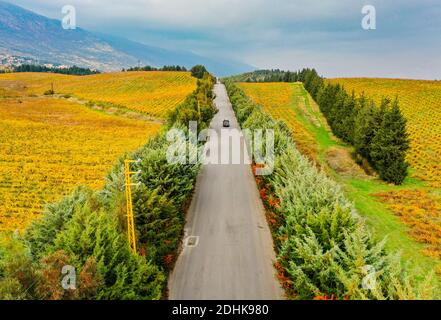 Foto aeree per la valle di bekaa in Libano in autunno Foto Stock