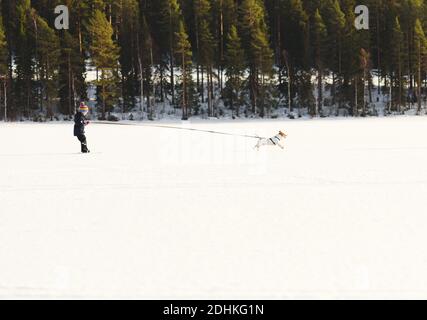 Ragazzo piccolo addestramento per skijoring con cane su ghiaccio di lago nella soleggiata giornata invernale Foto Stock