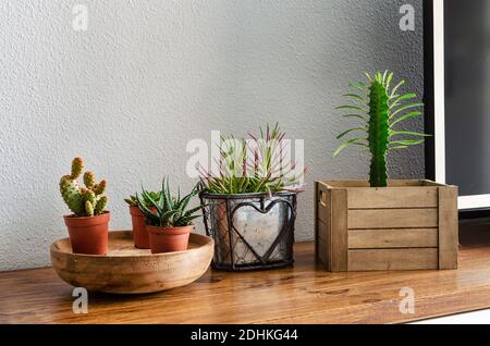 Succulenti e cactus su un tavolo di legno in un soggiorno. Decorazione naturale della casa. Foto Stock