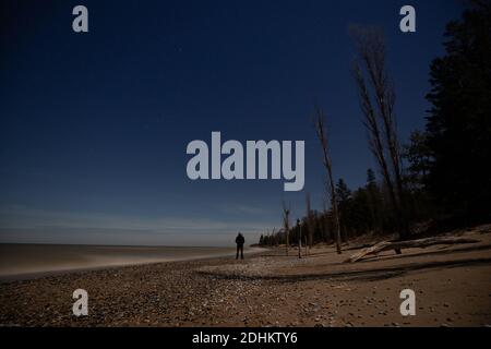 Persona che guarda le stelle nel cielo notturno con pieno luna che getta ombre sulla spiaggia Foto Stock