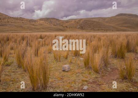 Campi in Huaraz, Perù Foto Stock