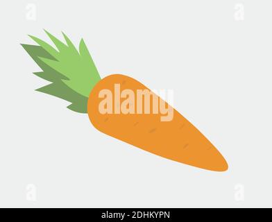 Illustrazione vettoriale di Carrot isolata con ombre su sfondo bianco. Illustrazione Vettoriale