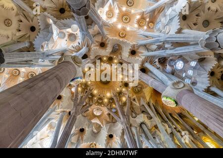 BARCELLONA, SPAGNA - MARZO 18,2019: Vista grandangolare del soffitto nella Sagrada Familia a Barcellona, Spagna Foto Stock