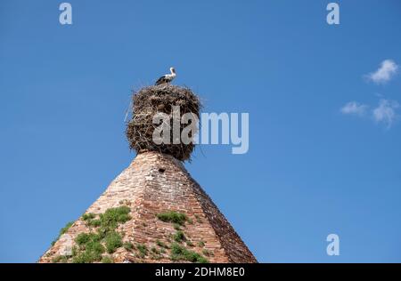 Cicogna nel suo nido, in cima alla storica torre nella valle di Frigia, Eskisehir, TURCHIA Foto Stock