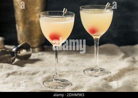 Cocktail rinfrescante al casinò boozy con Gin Maraschino e Lemon Foto Stock