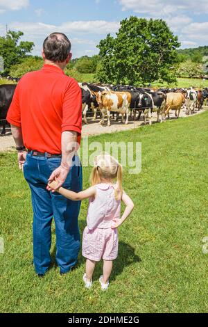 Alabama Alexandria Wright caseificio fattoria vitelli mucche pascolo, all'ingrosso produttore di formaggio fattoria nonno nipote ragazza, Foto Stock