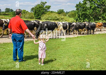 Alabama Alexandria Wright caseificio fattoria vitelli mucche pascolo, all'ingrosso produttore di formaggio fattoria nonno nipote ragazza, Foto Stock